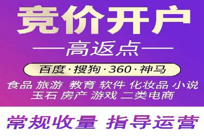专业SEM运营托管服务案例分析